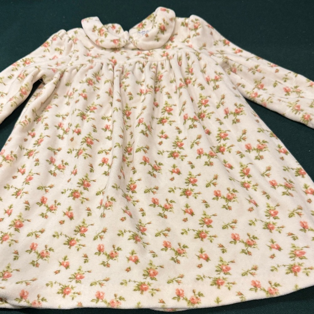 Floral Velour Long Sleeve Dress